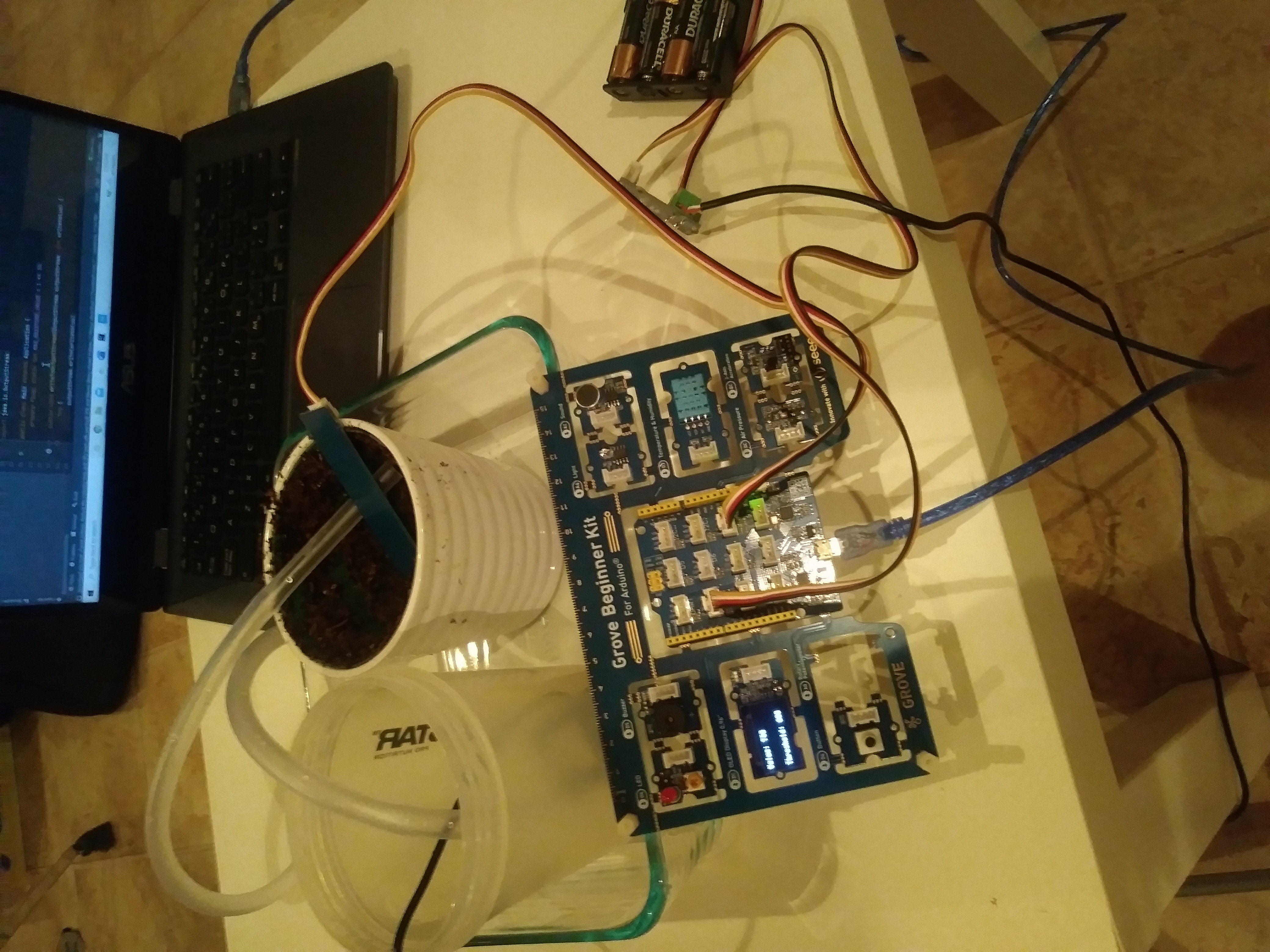 Automated plant watering system